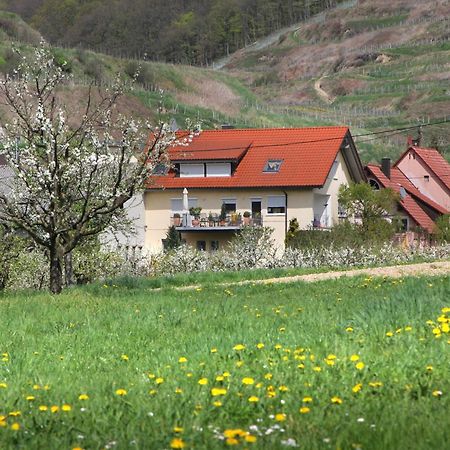 Ferienwohnung Graf Vogtsburg Buitenkant foto