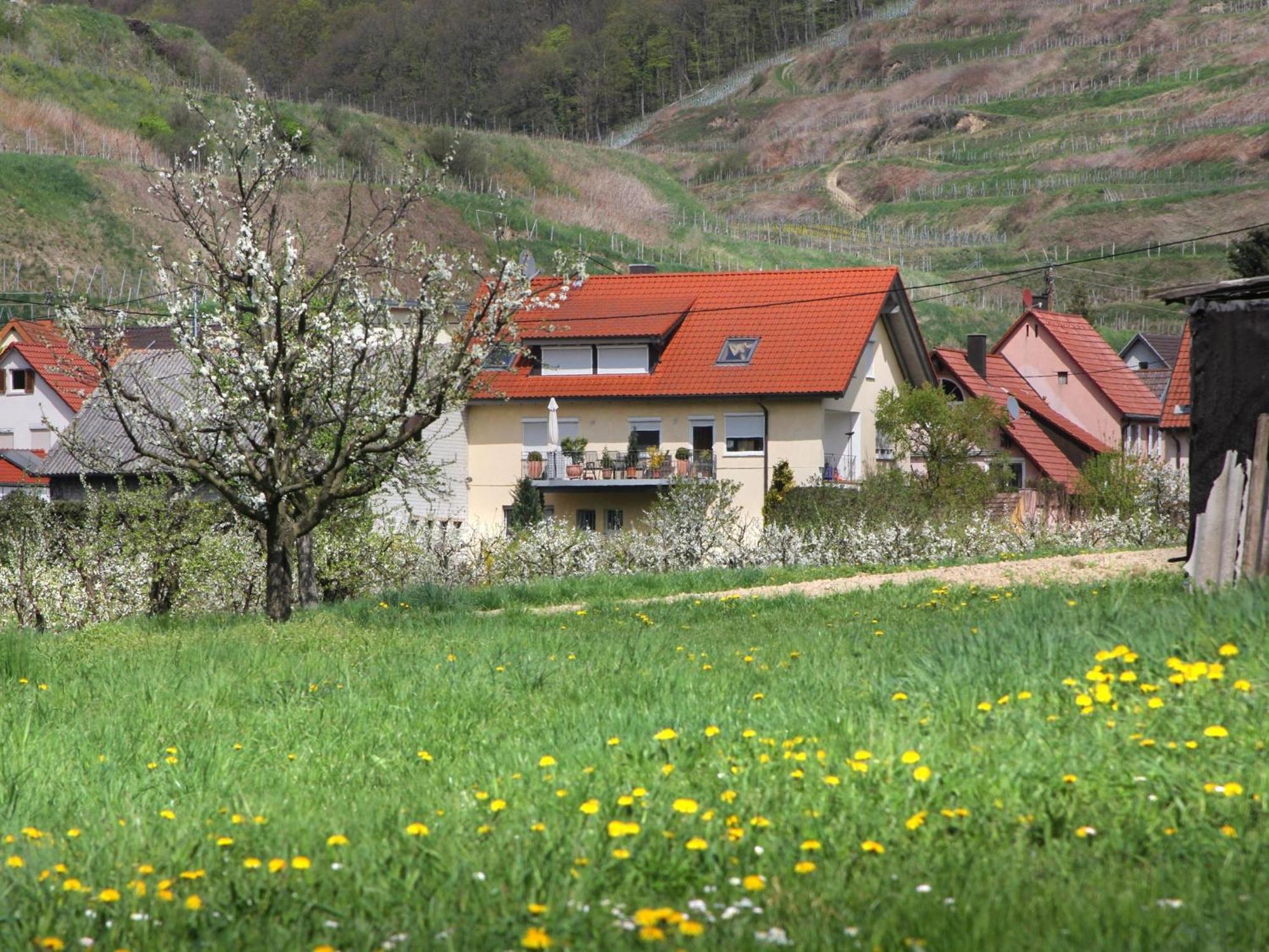 Ferienwohnung Graf Vogtsburg Buitenkant foto