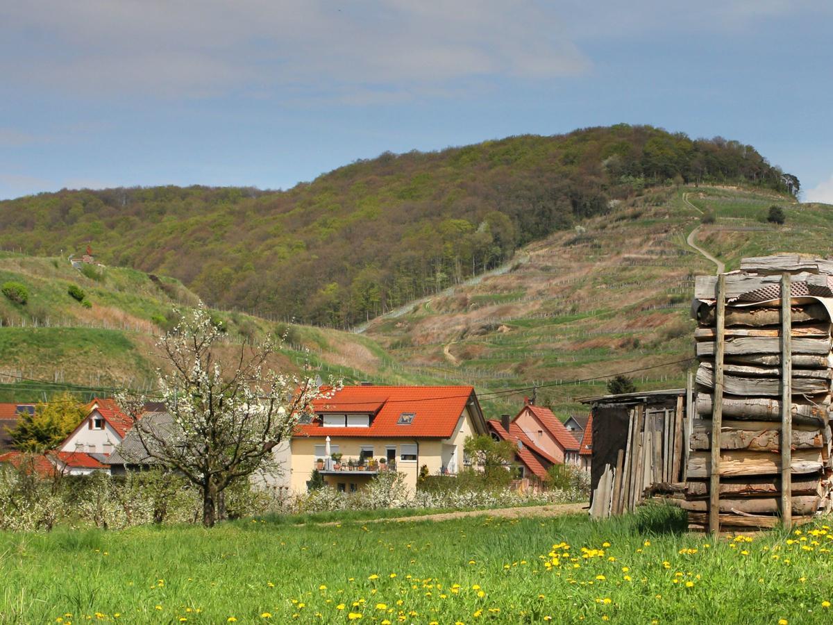 Ferienwohnung Graf Vogtsburg Buitenkant foto